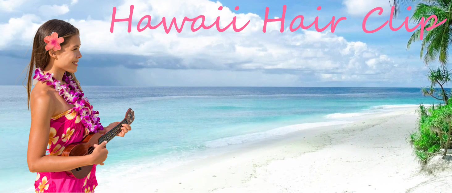 Hawaii Hair Clip