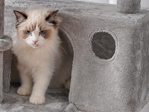 cat tree