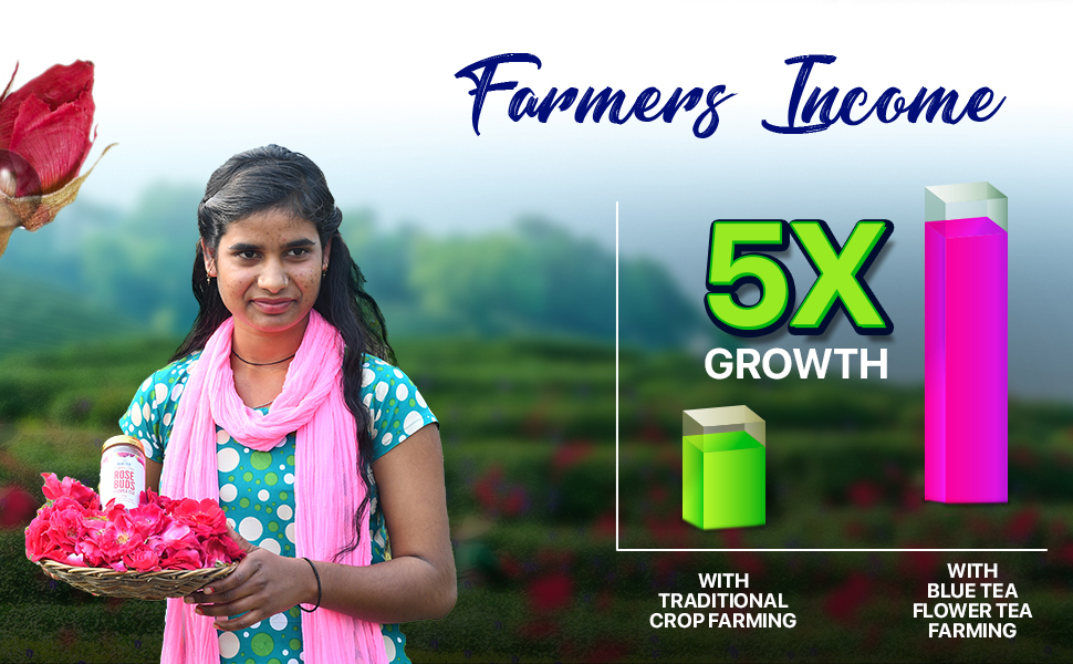 Large manufacture image 6