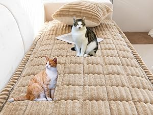couch cover for dogs