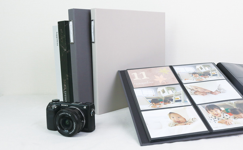 Amazon.co.jp: 【WEB限定】【背表紙タイトルプレート付】ナカバヤシ