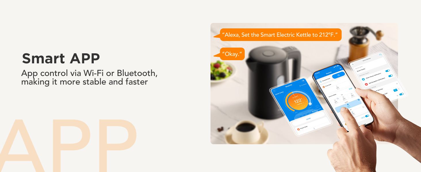 H7173 Smart APP