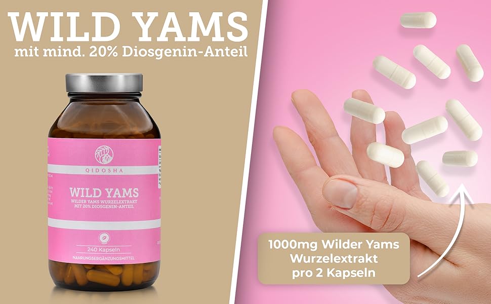 QIDOSHA® Wild Yams Wurzelextrakt, 240 Stk/Glas, 1000mg Wilder Yams