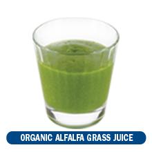 Protein & Greens