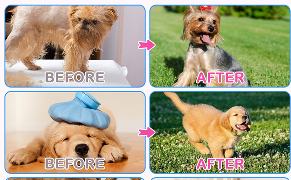 Images de comparaison avant/après montrant des animaux de compagnie semblant plus énergiques et actifs sur les photos « après » que sur les photos « avant ».