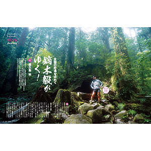 【新品含む】トレイルランニング UTMF等 DVD 8枚セット Amazon.co.jp: ULTRA-TRAIL Mt.FUJI 2013 [Official DVD