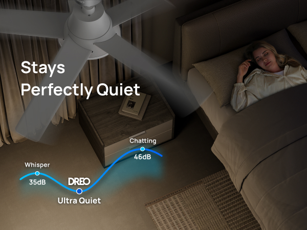 Quiet Ceiling Fan