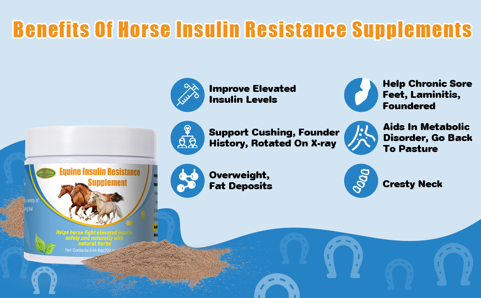 Insulin Resistance Supplement for Horses,Supporting Horses