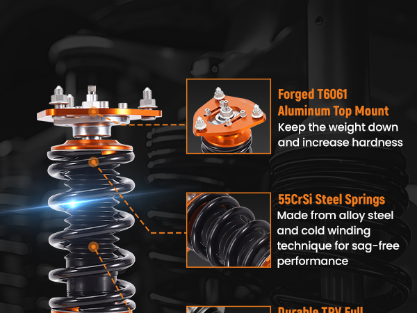 マック Lymphocytes Change Their Phenotype and Function in Systemic