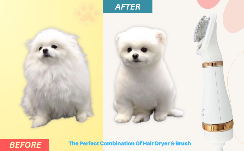 Dog Hair Dryer Brush - Dog Hair Grooming Dryer Blower Slicker Brush