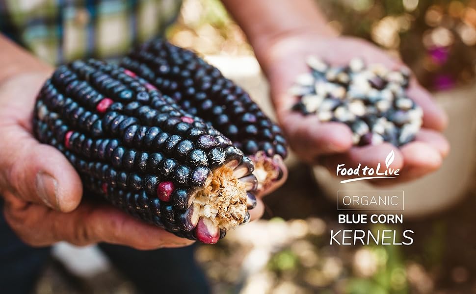 organic blue corn kernels by food to live