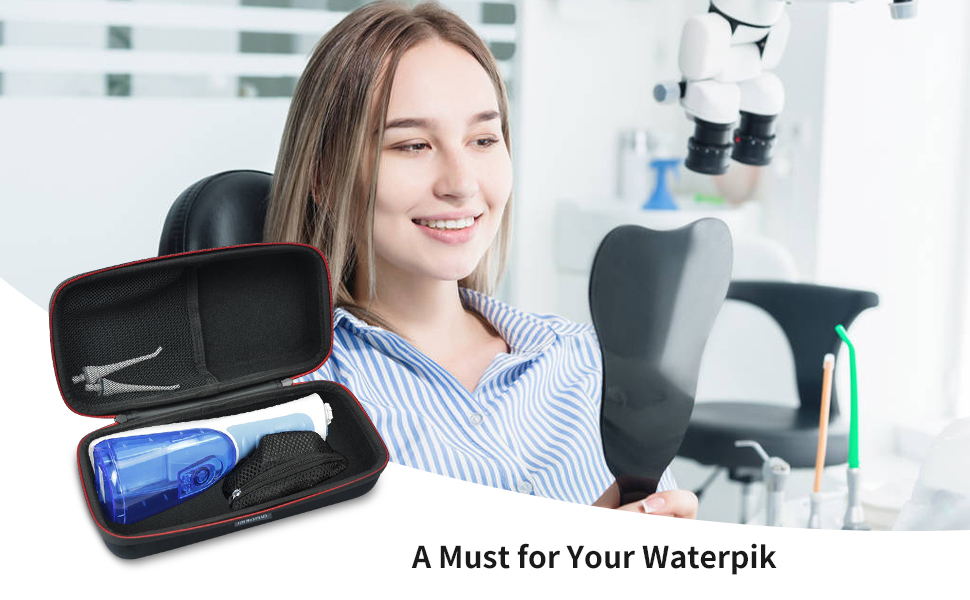 waterpik travel case