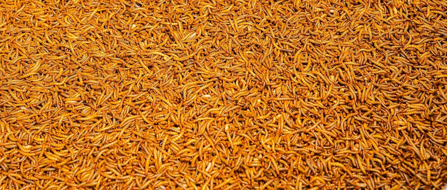 Wildvögel, Meisenknödel, Sonnenblumenkerne, Hamsterzubehör, Kieselgur, Soldatenfliegenlarven, Florfliegen
