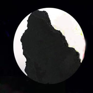 fish tank accessories