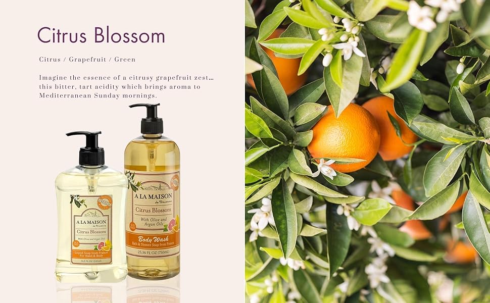 citrus blossom