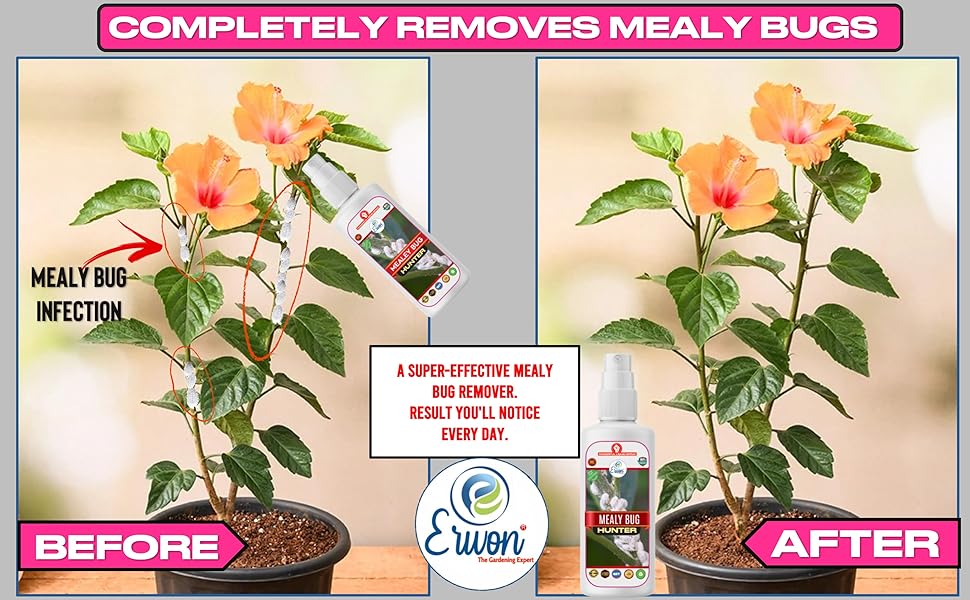 Erwon® Mealy Bug Hunter, Premium Essential Powerful Liquid Spray for