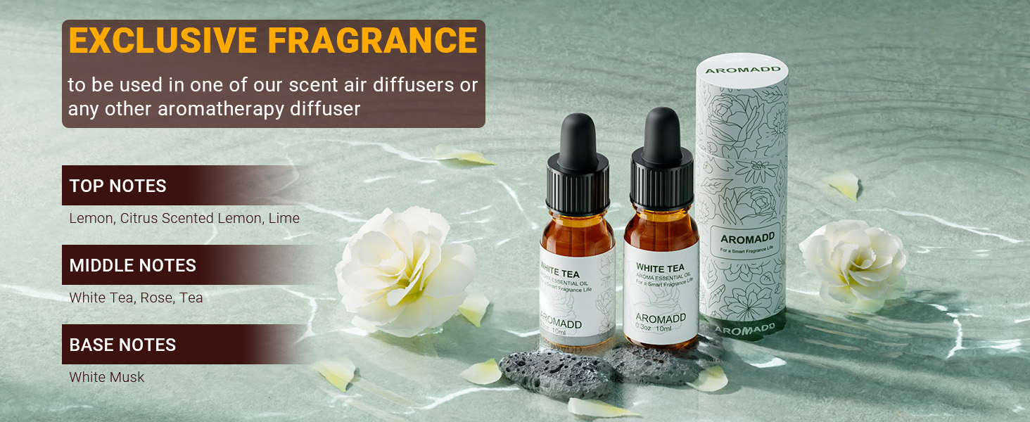 white tea essential oil