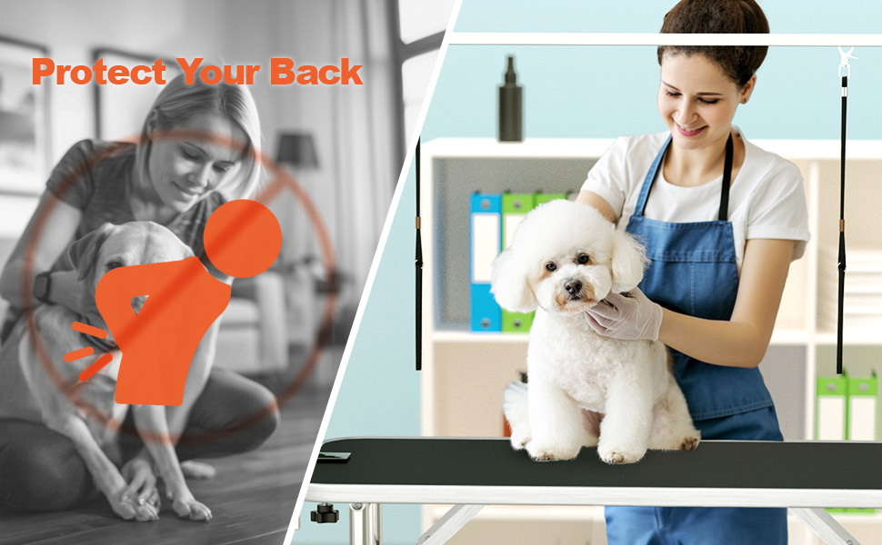 dog grooming table