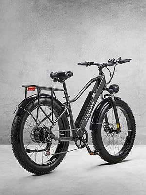 elektrofahrrad CEAYA