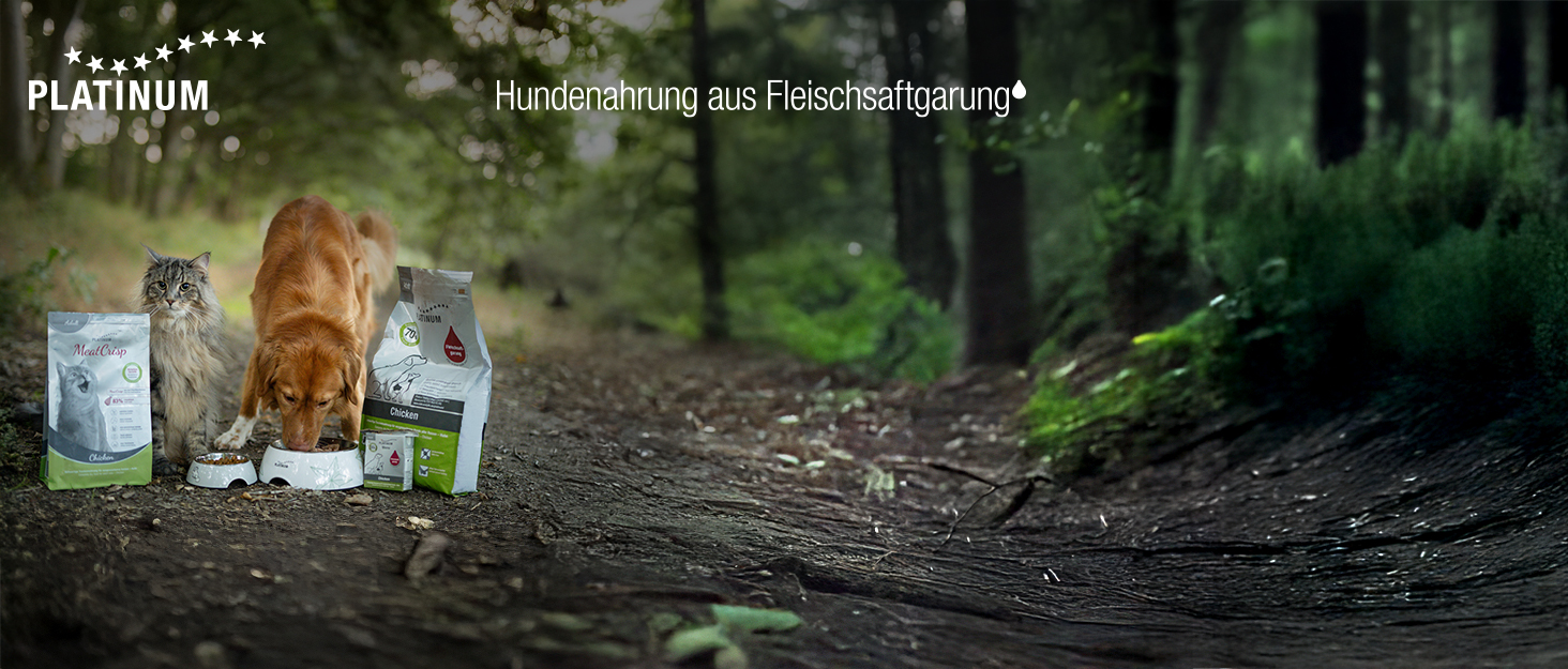 Aplus-Inhaltsbild