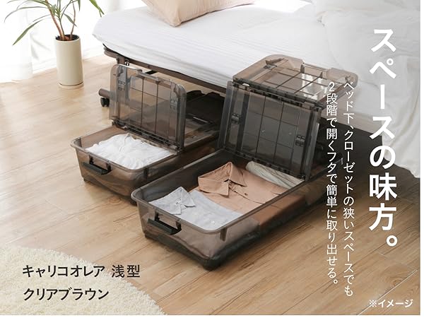 Amazon.co.jp: カインズ(CAINZ) キャリコオレア 浅型 クリア
