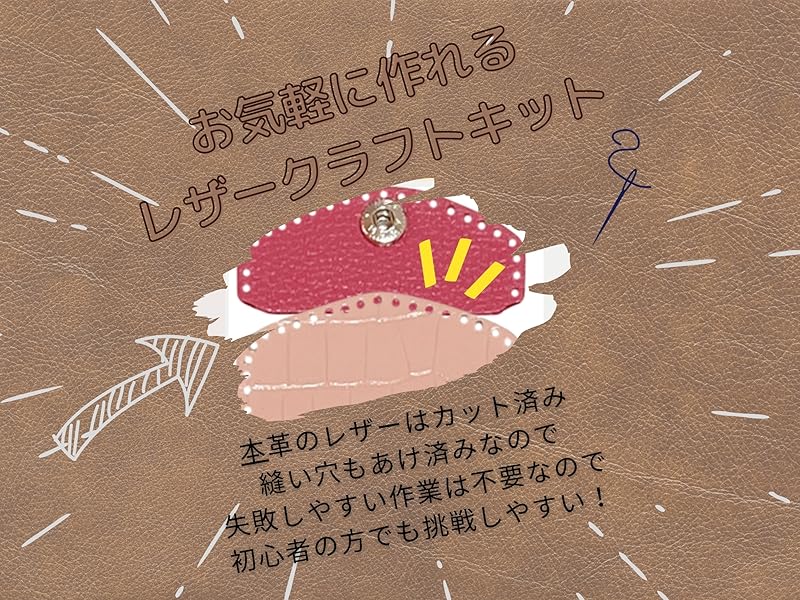 Amazon.co.jp: 3world レザークラフト キット コインケース 本