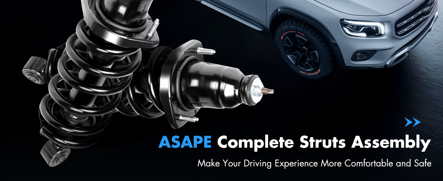 Complete Struts Assembly