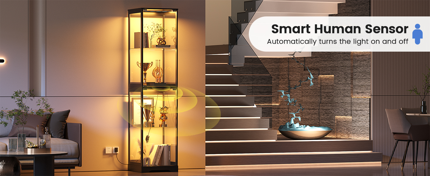 Glass Display Cabinet