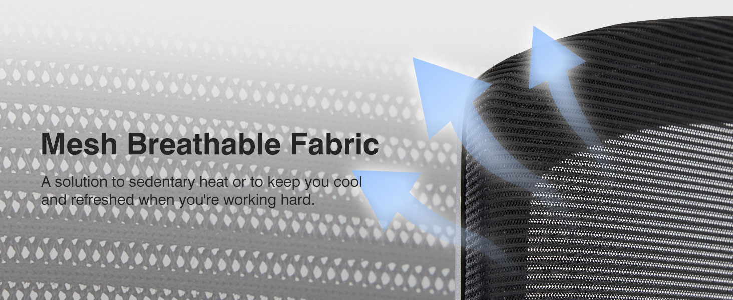 Ergonomic Mesh Office Chair with Lumbar Support Pillow