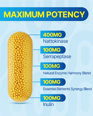 Liposomal Nattokinase 12,000 FU Serrapeptase 360,000 SPU Enzyme Supplement