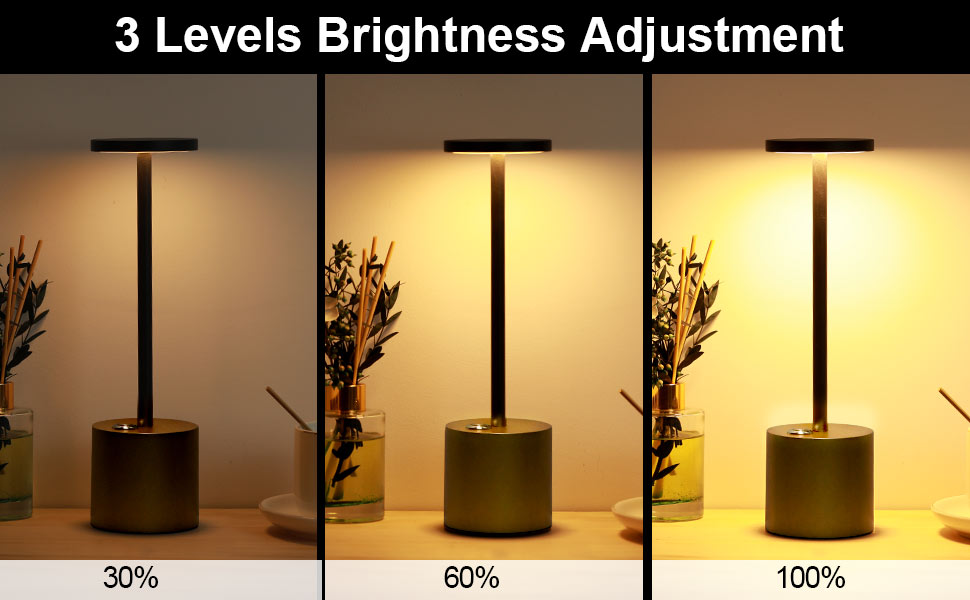 Perkisboby Rechargeable Cordless Table Lamp, 6000mAh Battery Powered