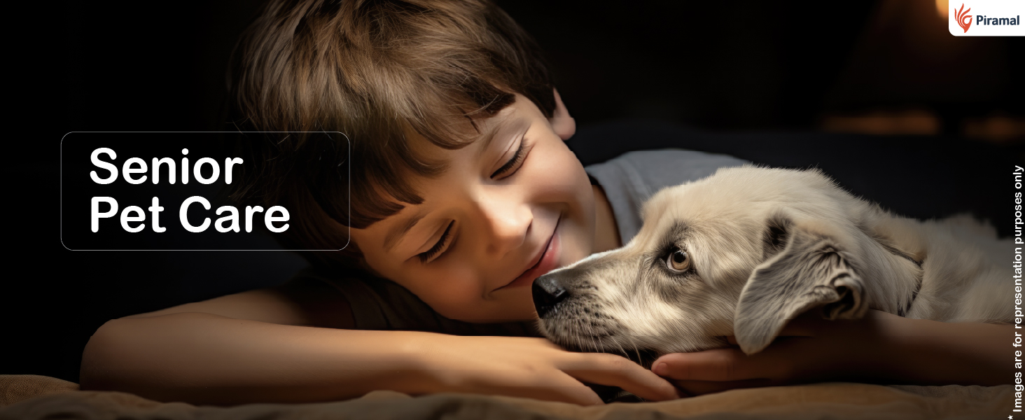 pawkare pet wipes