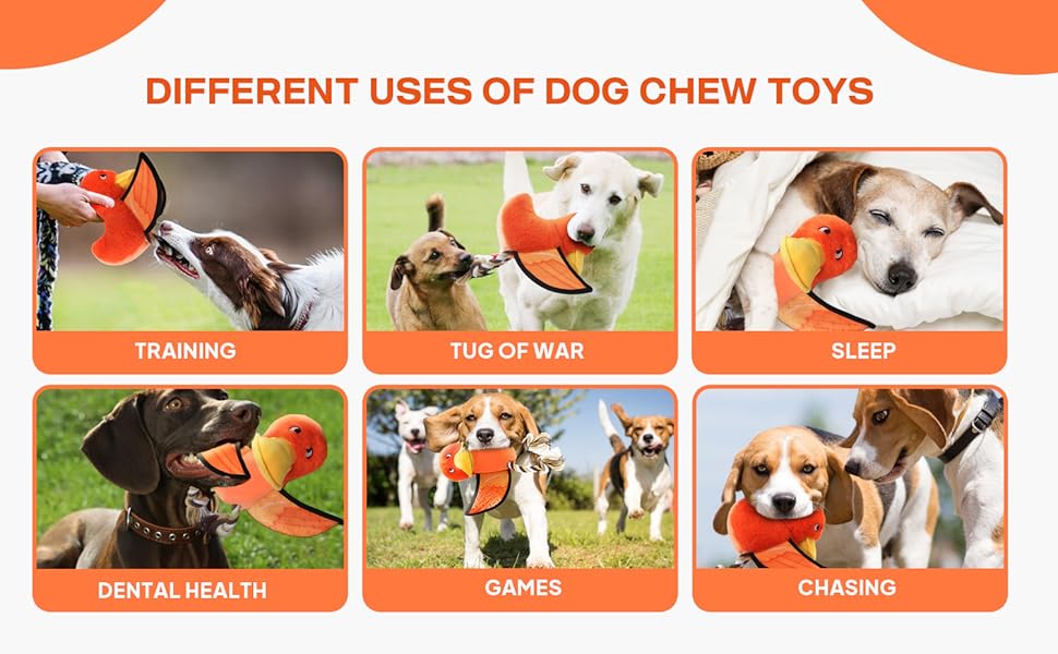 dog chew toy