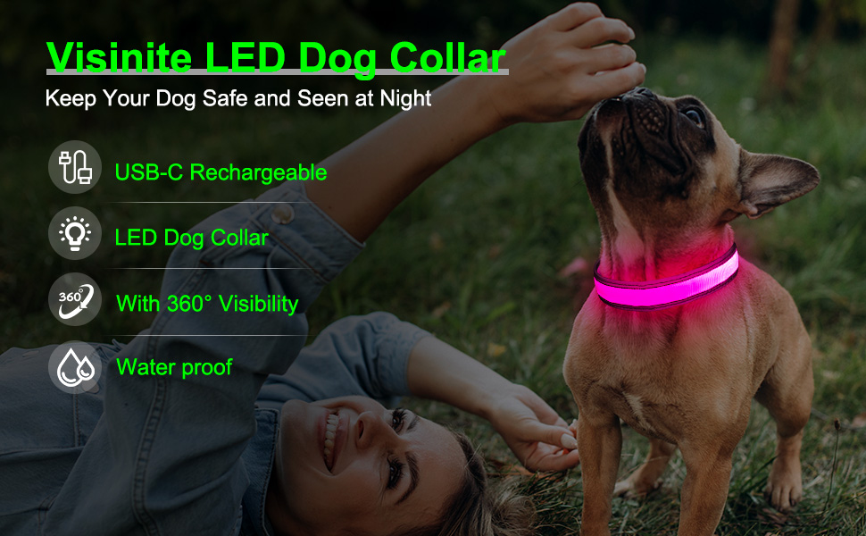 light up dog collar