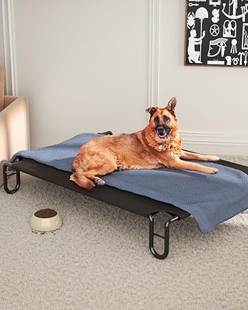 249dbacd 7127 40d7 beed 6bf61f644ff2. CR161,0,1279,1600 PT0 SX362 V1