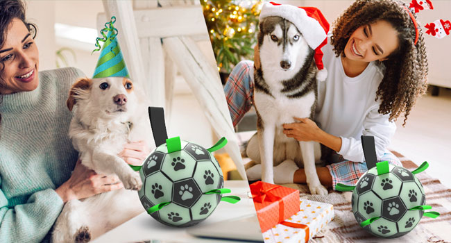 glow in the dark dog ball light up dog ball Dog Balls for Small & Medium Dogs