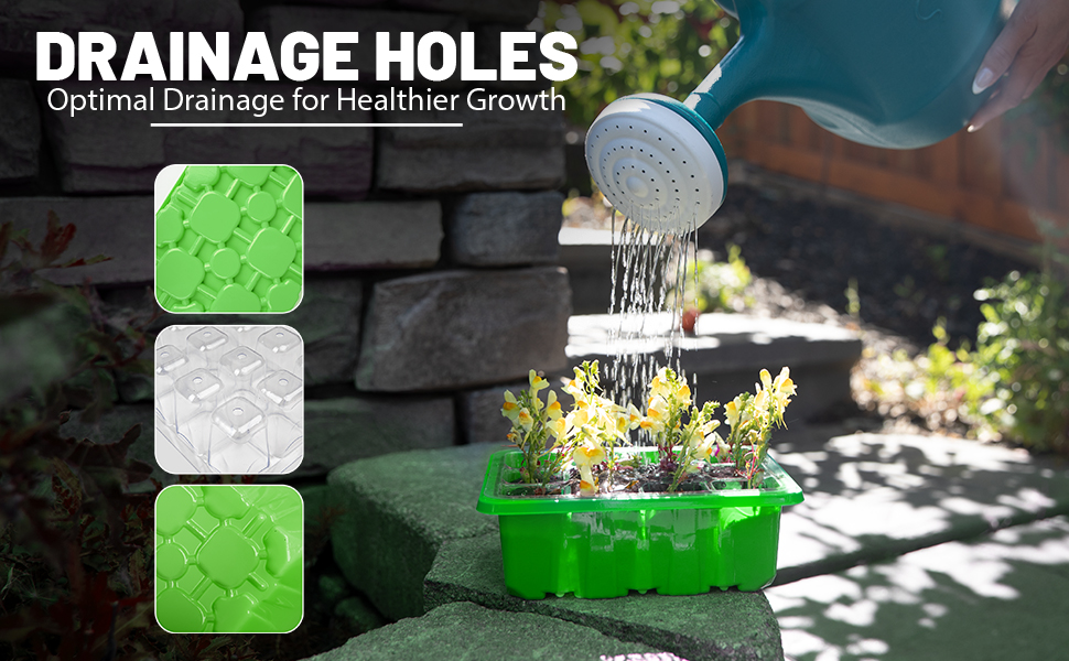 plant starter trays