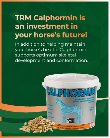 horse supplements