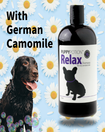 【新品】PUPPY POTION 犬用シャンプー＆コンディショナー Amazon | [PUPPYPOTION] 犬用 シャンプー 天然成分100