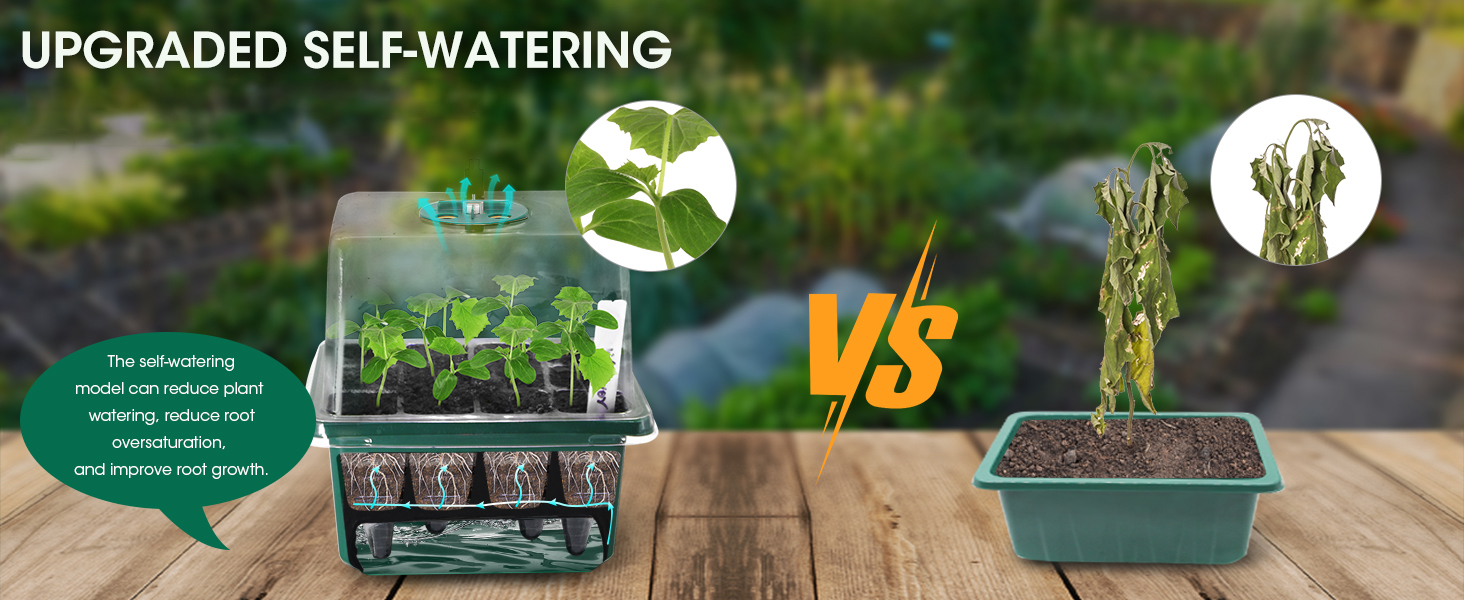 MQUPIN Self Watering Seed Starter Tray with Grow Light,6