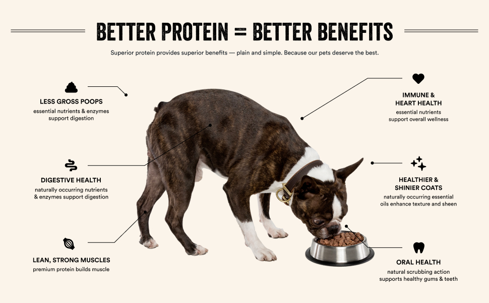 Better protein, better benefits. Beef liver dog treats and freeze dried dog food.