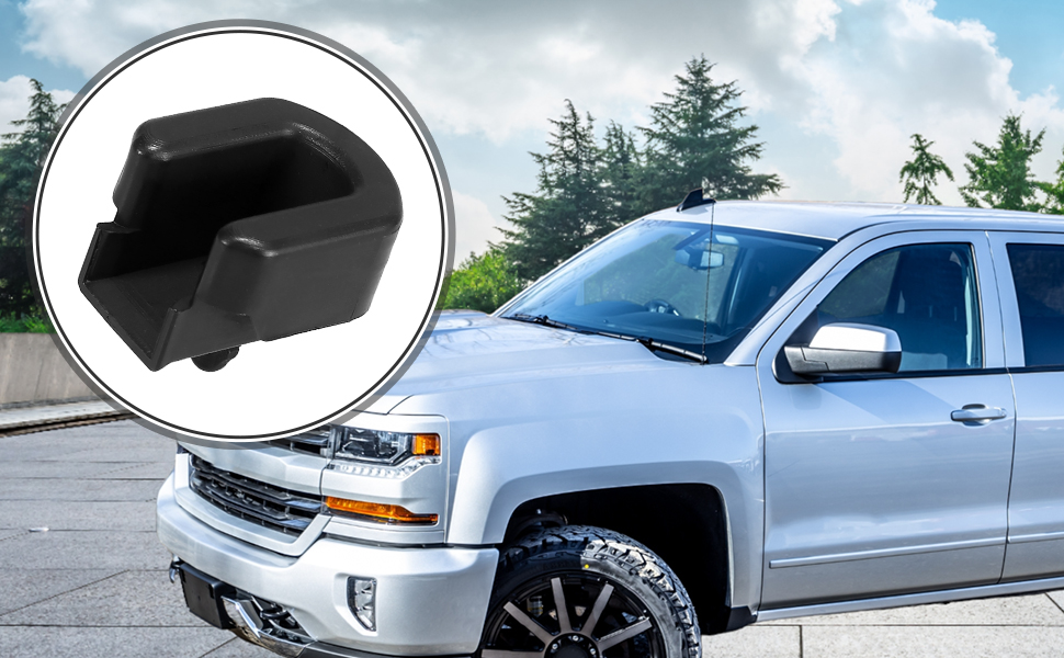 Motoforti Tailgate Bushing Lift Assist Rear Right, Truck