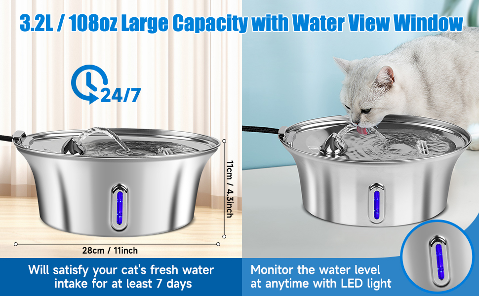 water drinking for cat