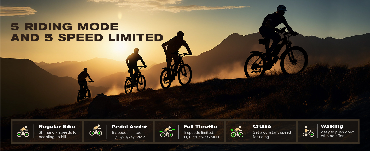 electric mountain bike