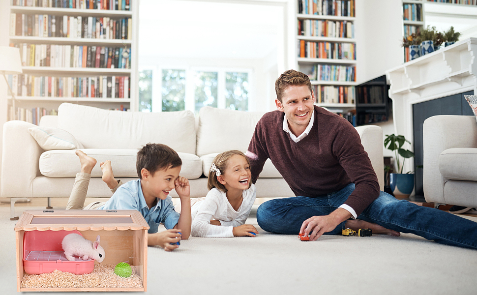 Rabbit Litter Box Toilet