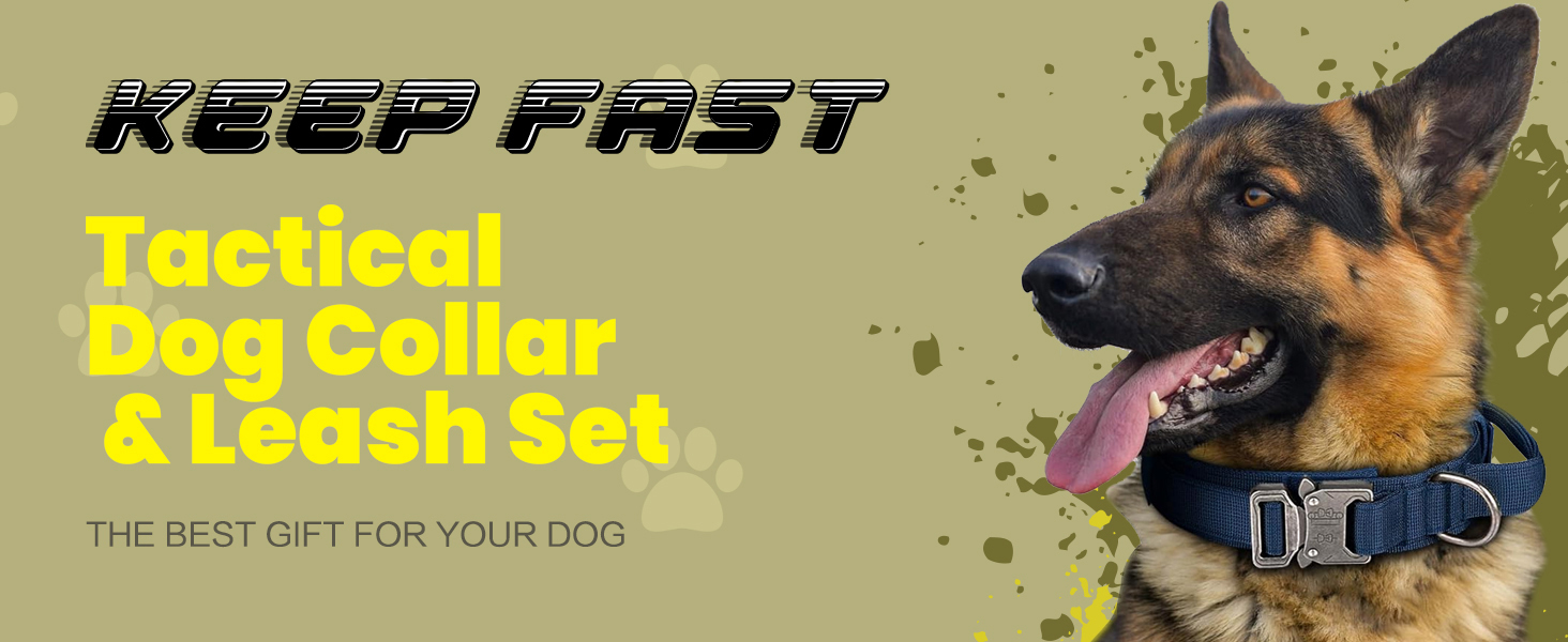 Tactical Dog Collar and Bungee Dog Leash SetAdjustable