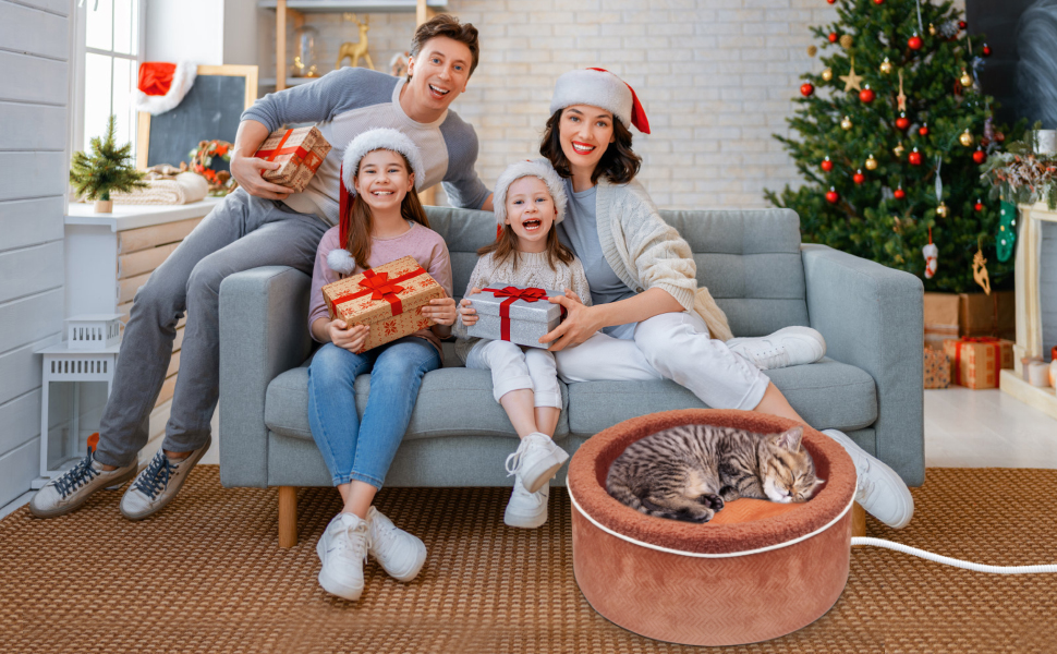 AUPETEK Heated Cat Beds for Indoor Cats Warming Cat Beds Super Soft