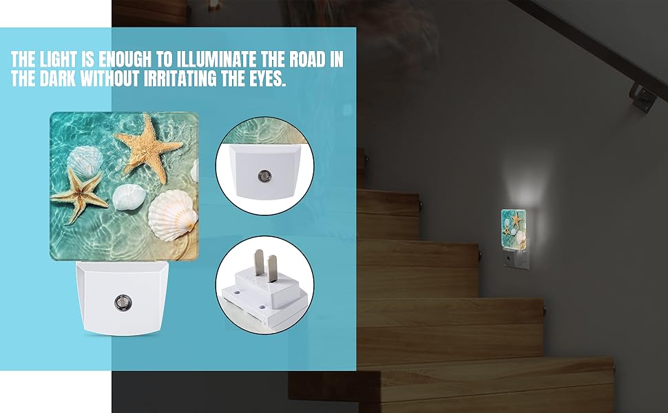 Seashell Starfish Beach Seaside Night Light Plug in LED Lamp Acrylic Glass Decor Night Lights Plug into Wall with… 1