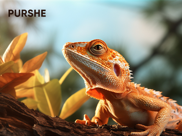 Nahaufnahme einer orangefarbenen Bartracheneidechse mit stacheligen Schuppen, die auf Holz vor einem verschwommenen Hintergrund mit gelbem Laub thront