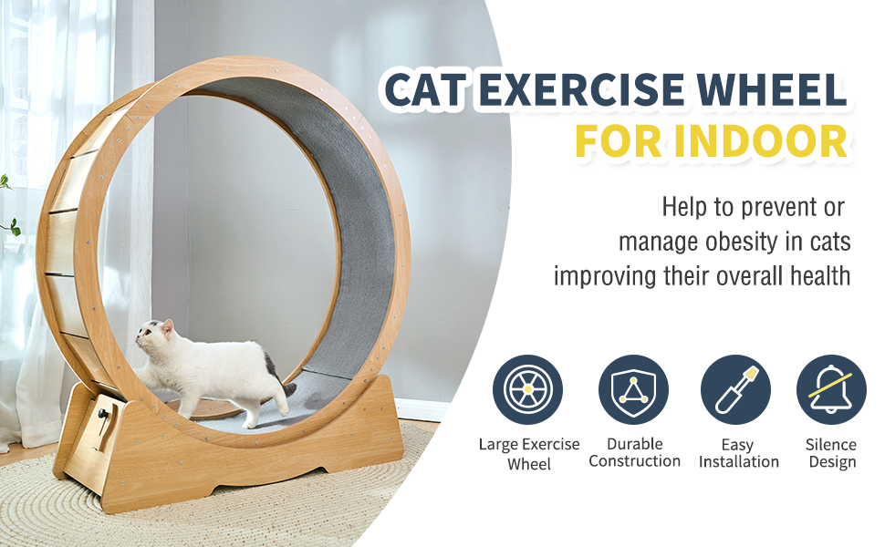 Cat Exercise Wheel Sergamy Large Treadmill Exerciser for